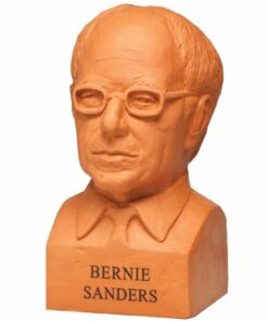 Chia Pet Bernie Sanders with Seed Pack, Decorative Pottery Planter, Easy to Do and Fun to Grow, Novelty Gift, Perfect for Any Occasion 8 61YYJ8SDGgL