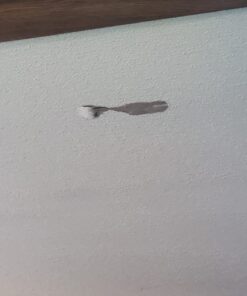 UKEENOR Sticky Resuable Tapeless Lint Roller Cat Dog Hair Remover With Long Handle Washable Tool Pet Shedding Brush Cleans your Suit/Sofa 3 Diffrent Size One Set 19 61YYhrKeblL