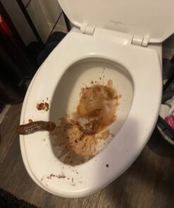 Loftus Gross Party Pooper Fake Poo Toy, Brown, 4 inches 27 61YdcYYu2fL