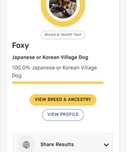 Embark Breed & Health Kit - Dog DNA Test - Discover Breed, Ancestry, Relative Finder, Genetic Health, Traits, COI 1 Count (Pack of 1) 52 61YiGZD B4L 3