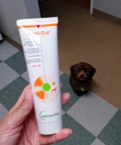 Vetoquinol Nutri-Cal 4.25 Oz - High Calorie Supplement for Cats and Dogs 36 61Yk02IC8FL 1