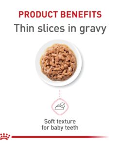 Alternative view of Royal Canin Feline Health Nutrition Kitten Thin Slices in Gravy Canned Cat Food, 3 oz can (24-count) 3 Ounce (Pack of 24) Case of 24