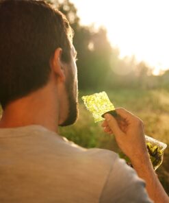 Annie Chun's Roasted Seaweed Snacks, Wasabi, 0.35-ounce (Pack of 12) 4 61YnsiMQRNL