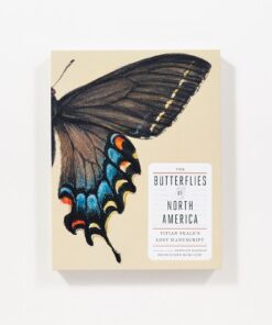 The Butterflies of North America: Titian Peale's Lost Manuscript 12 61YqLvsFRgL