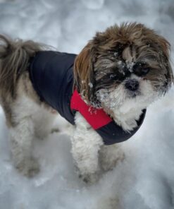 Gooby Padded Vest Dog Jacket - Red, Medium - Warm Zip Up Dog Vest Fleece Jacket with Dual D Ring Leash - Winter Water Resistant Small Dog Sweater - Dog Clothes for Small Dogs Boy and Medium Dogs Medium chest (18.25") 1 29 61YrW6tvZZL