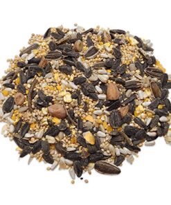 Audubon Park 12230 Songbird Blend Wild Bird Food, 5.5-Pounds, 4.5 lb, Green 7 61Yru5QbOKL
