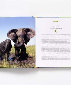 Fifty Places to Camp Before You Die 21 61Z1HTVs7L