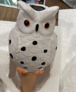 MIMA2672 Large Size Owl Plant Watering Globes Shapes - 4 Self Watering Spikes Automatic Plant Waterer Irrigation Drippers -Plant Watering Devices Keep Indoor & Outdoor Plants Nourish OWL - white yellow purple blue 15 61Z3kvvWGbL