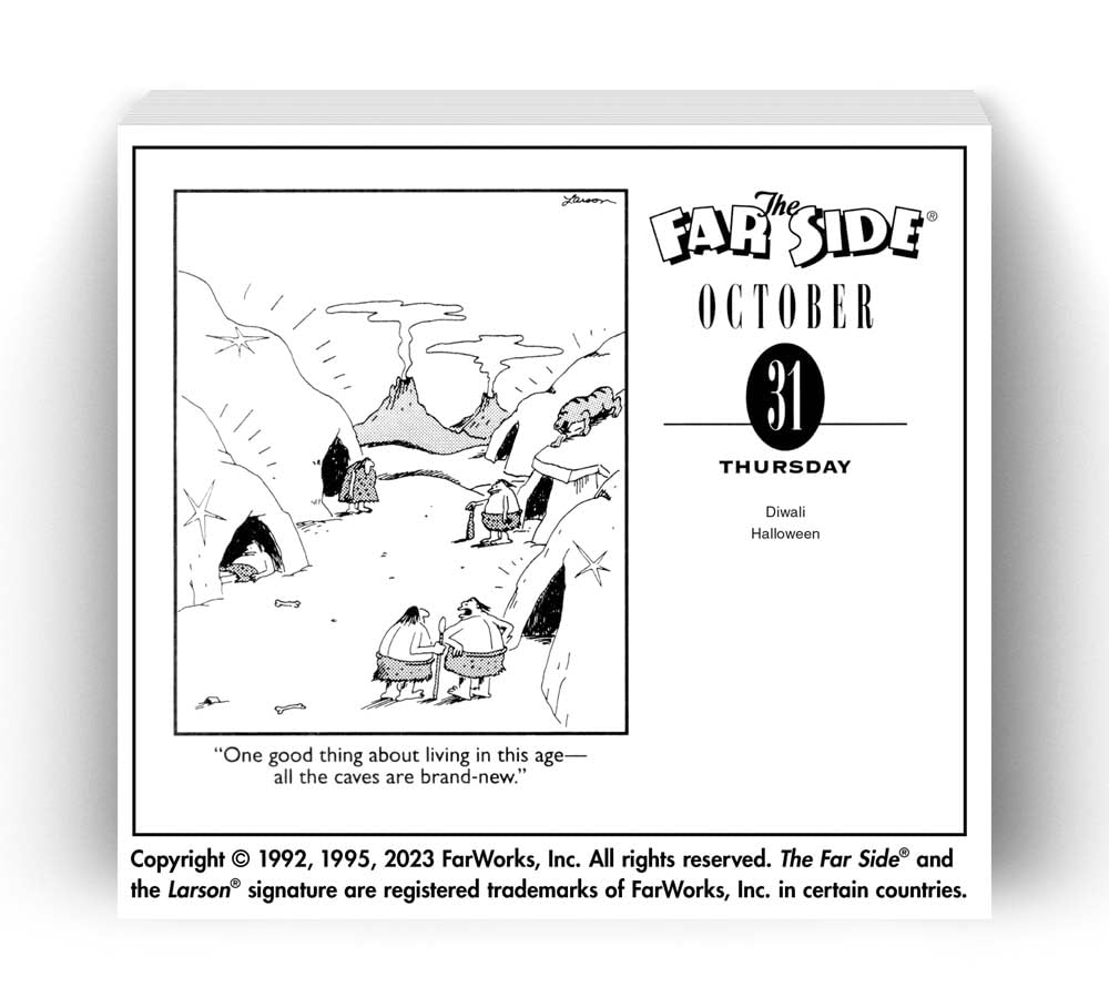 The Far Side® 2024 OfftheWall DaytoDay Calendar Calendar, Day To