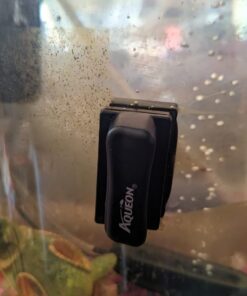 Aqueon Aquarium Algae Cleaning Magnets Glass/Acrylic, Small, Black 32 61ZAu30YVFL