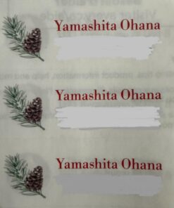 AVERY Matte Frosted Clear Address Labels for Inkjet Printers, 1" x 2-5/8", 300 Labels (18660) 19 61ZAxwhmpLL