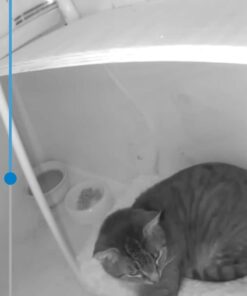 Car Seat Sun Shade Cover - Keep Your Baby's Carseat at a Cooler Temperature - Covers and Blocks Out Heat & Sun - More Comfortable for Baby or Child - Protection from UV Sunlight - Mommy's Helper 34 61ZGdf8kZGL 2