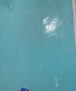 Intex Recreation Corp 28001E Intex Auto Pool Cleaner, 1 Pack, Grey Above Ground 56 61ZH56DwwiL