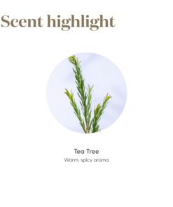 Young Living Tea Tree (Melaleuca Alternifolia) Essential Oil - 5ml Bottle - Clear and Healthy Complexion - Inhale the refreshing aroma of Tea Tree Oil to support clear breathing 0.17 Fl Oz (Pack of 1) 10 61ZNzkL9YjL