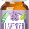 Healing Solutions 10ml Oils - Kashmir Lavender Essential Oil - 0.33 Fluid Ounces 0.33 Fl Oz (Pack of 1) 12 61ZPJJheDaL