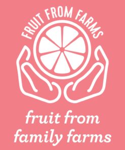 Spindrift Sparkling Water, Grapefruit Flavored, Made with Real Squeezed Fruit, (Only 15 Calories per Seltzer Water Can), 12 Fl Oz (Pack of 24) 12.00 Fl Oz (Pack of 24) 13 61ZPXRYf1GL