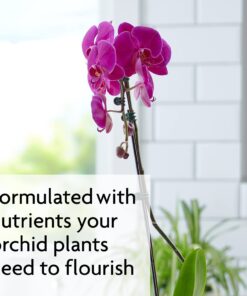 Miracle-Gro Ready-To-Use Orchid Plant Food Mist, 8 oz., Feeds Plants Instantly, 1 Pack 34 61ZTDhRMLDL