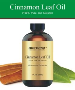 100% Pure Cinnamon Essential Oil - Premium Cinnamon Oil for Aromatherapy, Massage, Topical & Household Uses - 1 fl oz (Cinnamon) 16 61ZYadARCbL 1