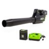 Greenworks 80V (125 MPH / 500 CFM / 75+ Compatible Tools) Cordless Axial Leaf Blower, 2.0Ah Battery and Charger Included Blower (2.0Ah) 33 61Zjb3Ic8sS