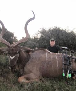 Swhacker SWH00207 #207 2 Inch Cut Broadheads Set of 3-100 Grain, Green, 2" 45 61ZjeL0jnAL