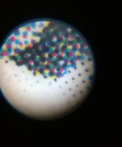 Carson 60x-75x MicroMax LED Lighted Pocket Microscope (MM-200) MicroMax (MM-200) 28 61ZmgKAZe1L