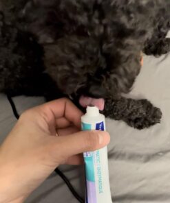 Virbac CET Enzymatic Toothpaste Eliminates Bad Breath by Removing Plaque and Tartar Buildup, Best Pet Dental Care Toothpaste -Beef Flavor, 2.5 Oz Tube (Color Varies) Beef 29 61Zx5O2yDBL