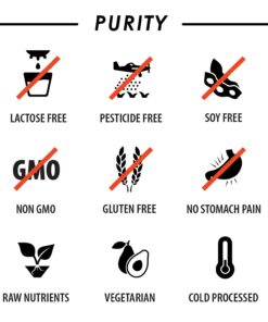 Liquid Multivitamin Drink Mix Vitamin Powder BCAA Won't Upset Your Stomach Daily Keto MultiVitamin for Men and Women Amino Acid Powder Fruit Punch Packet Multivitamin Powder Electrolytes 5.29 Ounce (Pack of 1) 19 61a2SdAqEWS