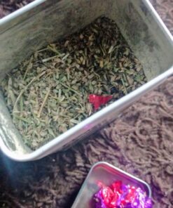 KONG - Naturals Premium Catnip - Premium North American Grown - 2 Ounce 61 61a31uisRWL