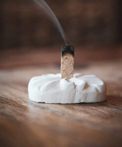 Incienso de Santa Fe - Piñon Natural Wood Incense Bricks, 40 Count 22 61a67g2c7L