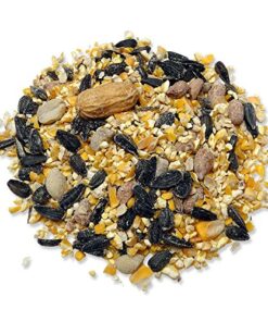 Audubon Park 12243 Critter Crunch Wild Bird and Critter Food, 15-Pounds 22 61aBC3 5AIL