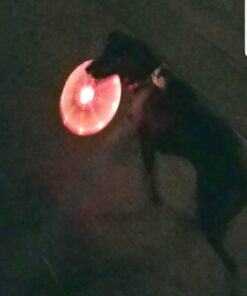 Nite Ize Flashflight LED Light Up Flying Disc Replaceable Batteries Blue 29 61aO31mopRL