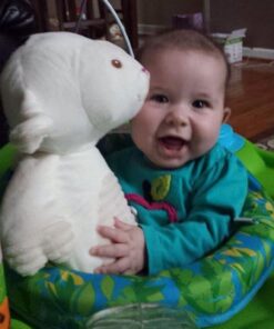 ExerSaucer Zoo Friends Bouncing Activity Saucer 41 61aOSU1fcaL