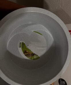 Pureness Heavyweight Large Crock Dish, 52-Ounce, Colors May Vary Greystone 15 61aSwzjRk8L