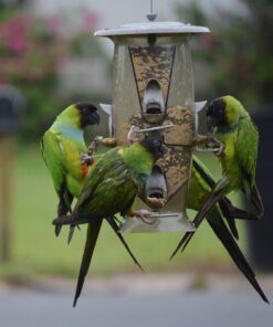 More Birds Abundance Bird Feeder, Combination Mixed Seed and Thistle, 6 Feeding Ports, 3.5 lb Seed Capacity Medium 25 61aVUhPg5L