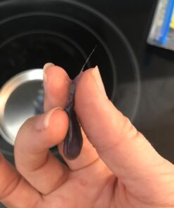 Crazy Aaron's Thinking Putty 4" Tin - Super Illusions Super Scarab - Multi-Color Putty, Soft Texture - Never Dries Out 56 61aWt4vlqL