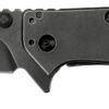 Kershaw XL Cryo II Pocket Knife, 3.25" 8Cr13MoV Steel Titanium-Coated Blade, Assisted Everyday Carry Pocket Knife 1556BW 43 61aYatjVedL