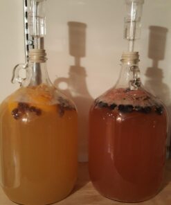 Lalvin EC-1118 Saccharomyces bayanus (10 Packs) 0.17 Ounce (Pack of 10) 15 61aarVvRN5L