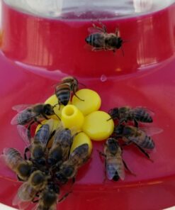 Perky Pet 202FB 9 Piece Yellow Hummingbird Feeder Replacement Flowers 10 61aeaYZ5AL