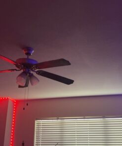 zyzykeji 32.8ft Led Lights for Bedroom, 5050 RGB Strip Music Sync Color Changing with Remote and App Control Strips, Room Home TV Party Decoration 26 61agMxwaXL