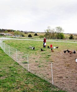 Premier 48" PoultryNet® Electric Fence 12/48/3, 164', Double Spike, White 12 61alImkyz5L