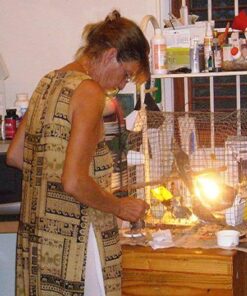 Kaytee Exact Hand Feeding High Fat Formula Pet Bird Baby Food For Parrots, Parakeets, Lovebirds, Cockatiels, Conures, Cockatoos, and Macaws, 5 Pound 21 61alRwQQJDL