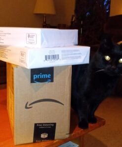 Amazon Basics Multipurpose Copy Printer Paper, 20 Pound, White, 96 Brightness, 8.5 x 11 Inch, 1 Ream , 500 Sheets Total 1 Ream | 500 Sheets 33 61amNoKmVOL