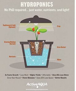 Black & White Poly Film 5.5 Mil 10' x 100' 1 10 61aqKlgQTlL