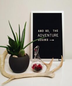 Quartet 1 Inch Characters for Plastic Letter Boards, Helvetica Font, 144 Characters per Set, White (F1) 3 61ava6SfQL