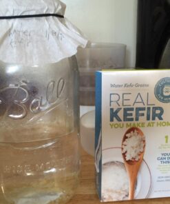 Cultures for Health Water Kefir Grains | DIY Fermented Probiotic Drink Powder for Stronger Gut Health | Heirloom Starter Makes Limitless Supply | Non-GMO Dairy Free Vegan Sparkling Water with Enzymes 0.19 Ounce (Pack of 1) 54 61b0jUfPkkL