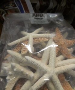 U.S. Shell, Inc. Starfish Mix 35 61bDZzEGH L