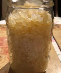QUARTER POUND Original Water Kefir Grains Exclusively from Florida Sun Kefir with 12 Brewing Bags Mild Sweetness to Tart 0.25 Ounce (Pack of 4) 22 61bJiuaJ6L