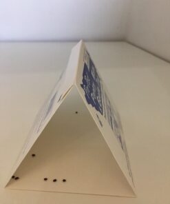 Pro Pest Pantry Moth & Beetle Traps 2 Pre-Baited Traps 26 61bVZjJvblL