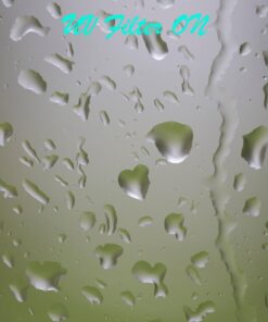 Tiffen 58UVP 58mm UV Protection Filter 25 61bYqSqz2CL