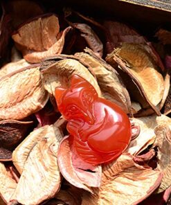 COOLSOME Women's Red Agate Fox Queen Pendant Necklace Grounding Stone Protection 29 61bxRNHmeeL